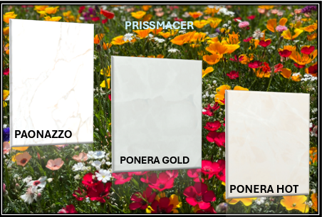 PRISSMACER PAONAZZO et PONERA